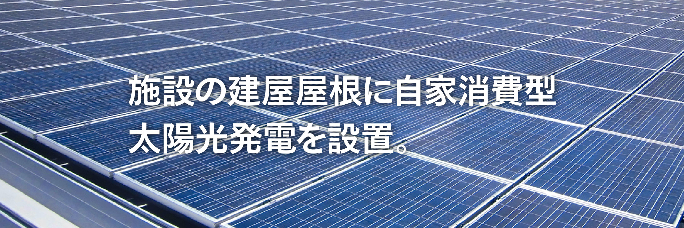 持続可能な社会へ。ゼロ・エミッションをお手伝いします。